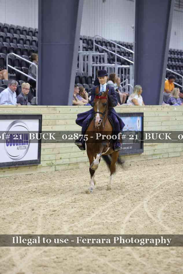 Proof 21_BUCK_02875