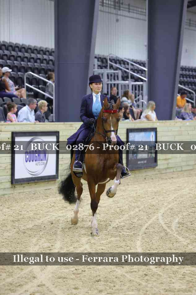 Proof 21_BUCK_02876
