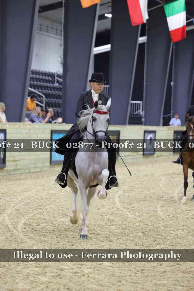 Proof 21_BUCK_02877