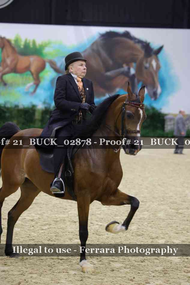 Proof 21_BUCK_02878
