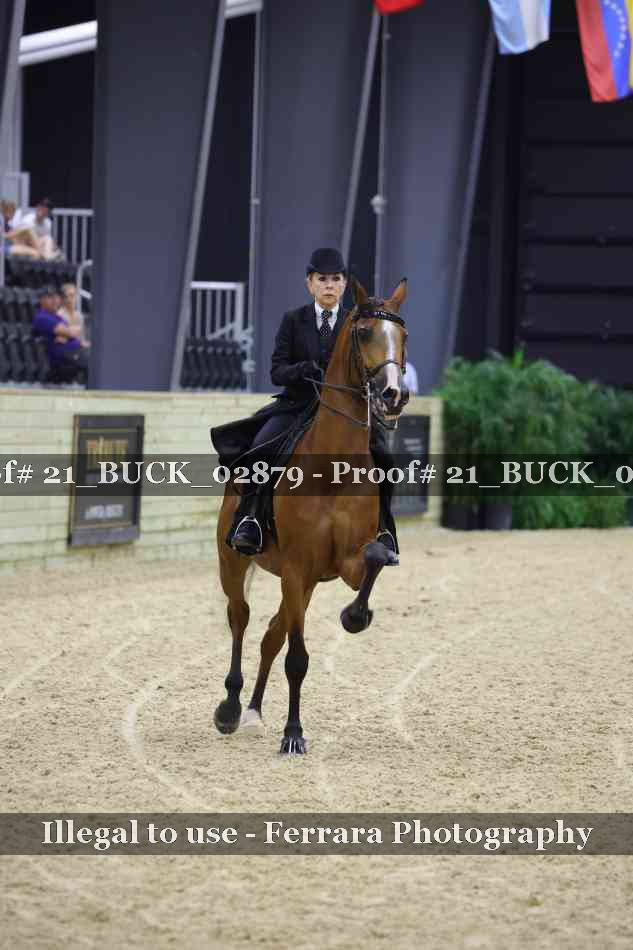 Proof 21_BUCK_02879