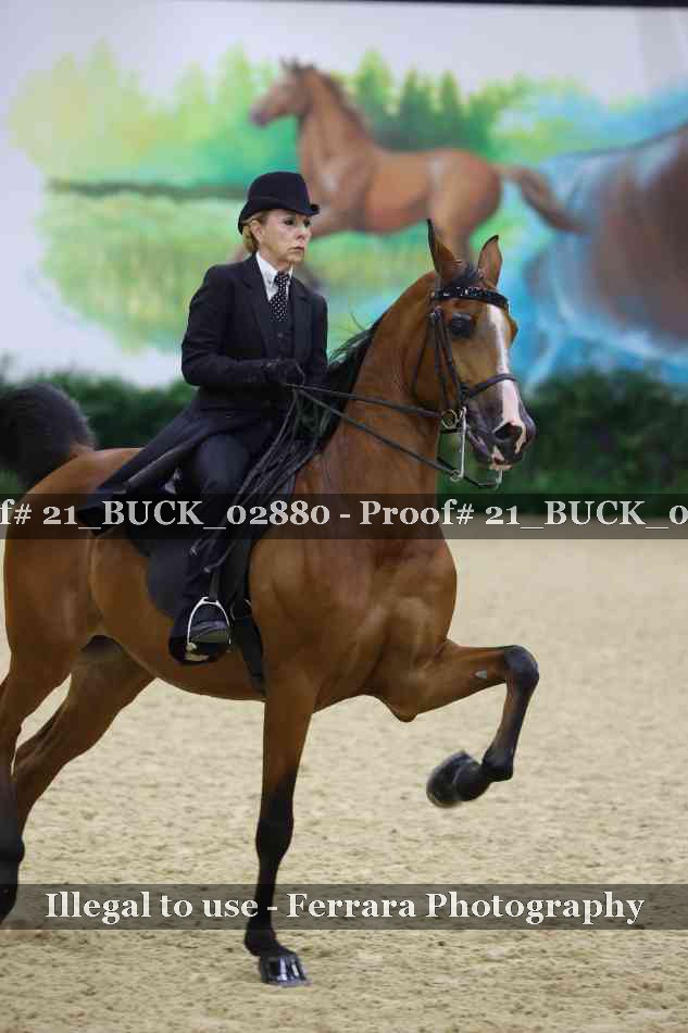 Proof 21_BUCK_02880