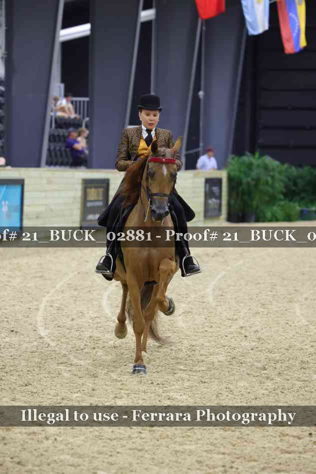 Proof 21_BUCK_02881