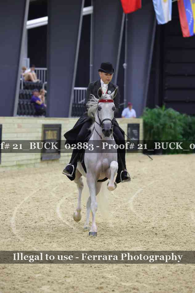 Proof 21_BUCK_02883