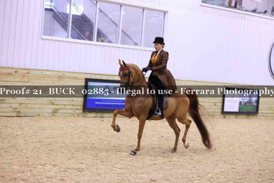 Proof 21_BUCK_02885
