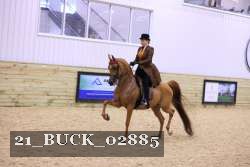 21_BUCK_02885 proof