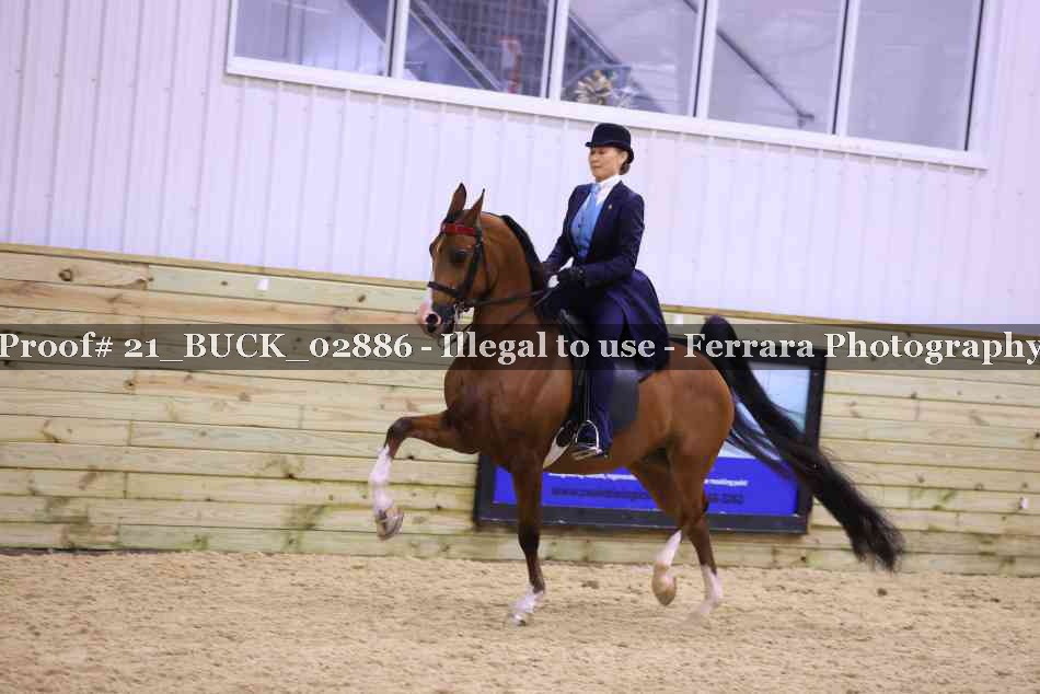 Proof 21_BUCK_02886