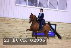 21_BUCK_02886 proof