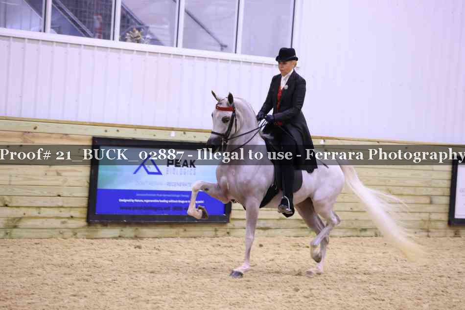 Proof 21_BUCK_02887
