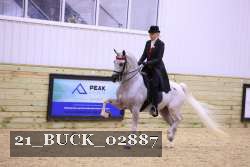 21_BUCK_02887 proof
