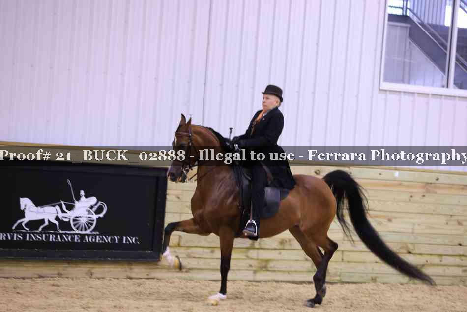 Proof 21_BUCK_02888