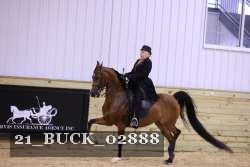 21_BUCK_02888 proof