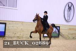 21_BUCK_02889 proof