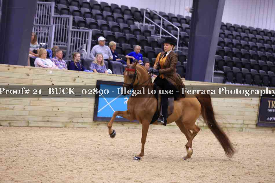 Proof 21_BUCK_02890