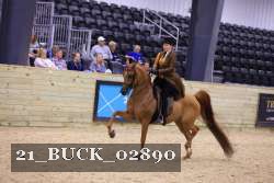 21_BUCK_02890 proof
