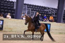 21_BUCK_02891 proof