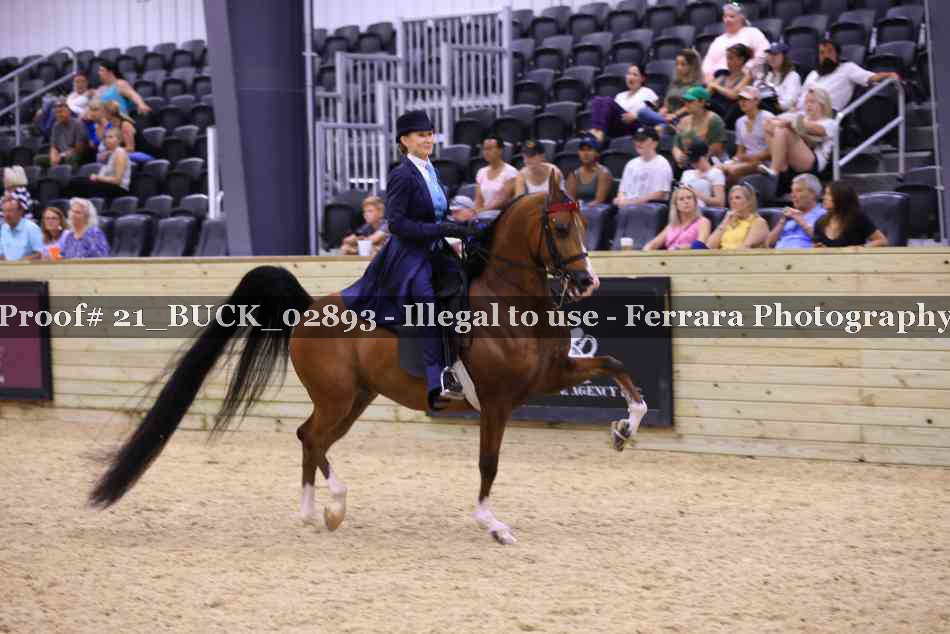 Proof 21_BUCK_02893