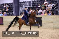 21_BUCK_02893 proof