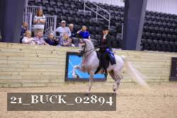 21_BUCK_02894 proof