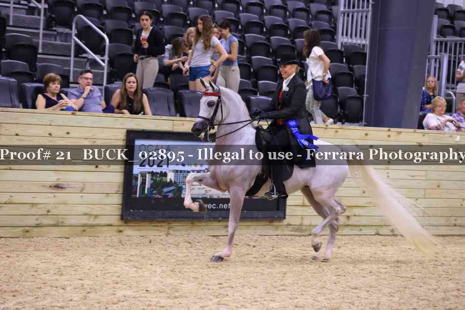 Proof 21_BUCK_02895