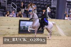 21_BUCK_02895 proof