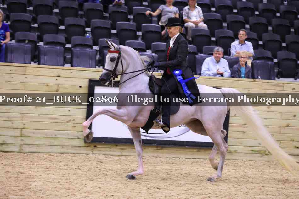 Proof 21_BUCK_02896