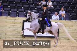 21_BUCK_02896 proof