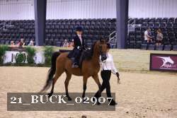 21_BUCK_02907 proof