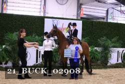 21_BUCK_02908 proof