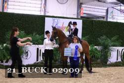 21_BUCK_02909 proof