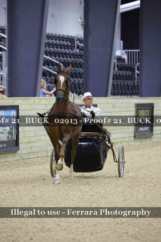 Proof 21_BUCK_02913
