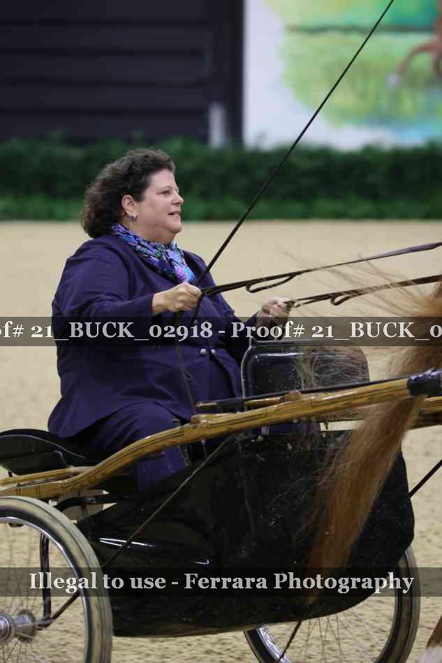 Proof 21_BUCK_02918