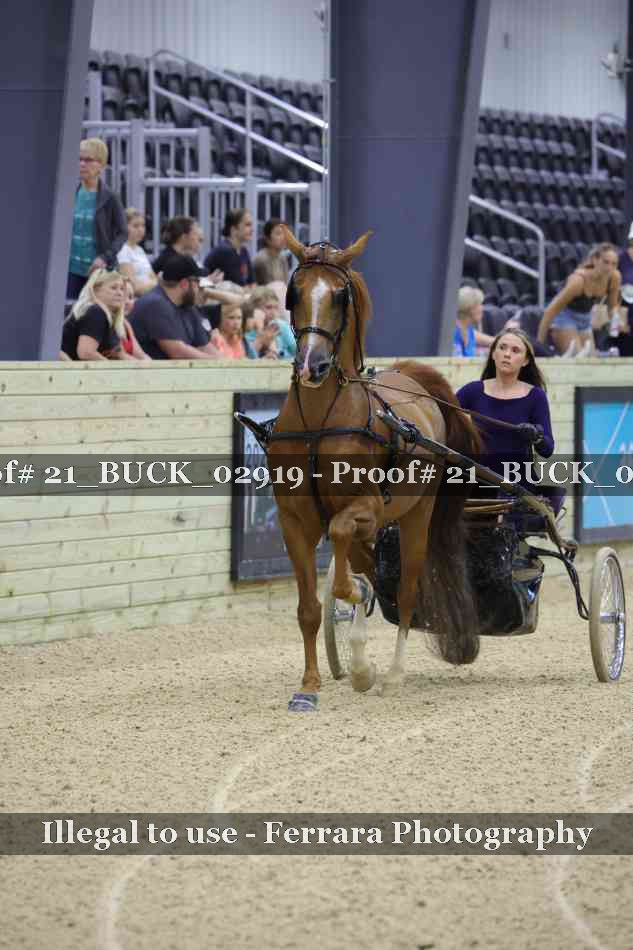Proof 21_BUCK_02919