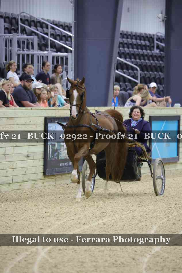 Proof 21_BUCK_02922