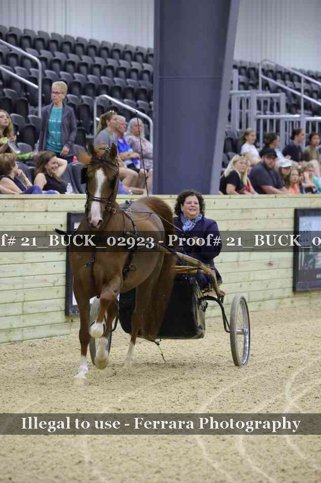 Proof 21_BUCK_02923