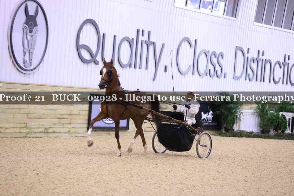 Proof 21_BUCK_02928