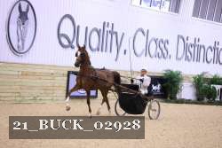 21_BUCK_02928 proof
