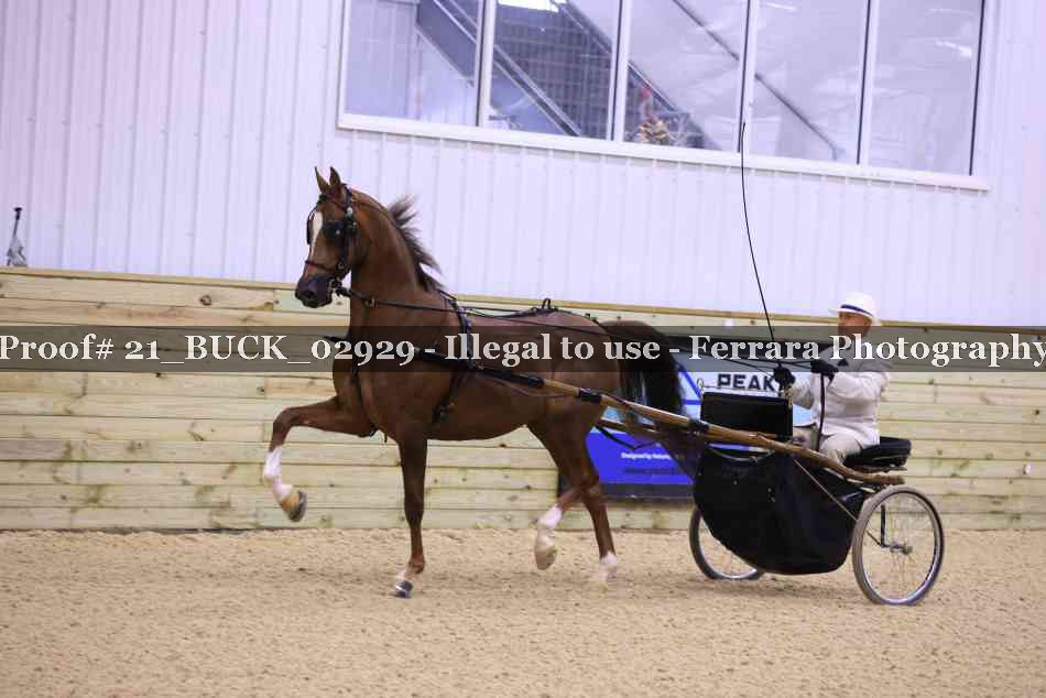 Proof 21_BUCK_02929