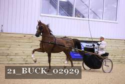 21_BUCK_02929 proof