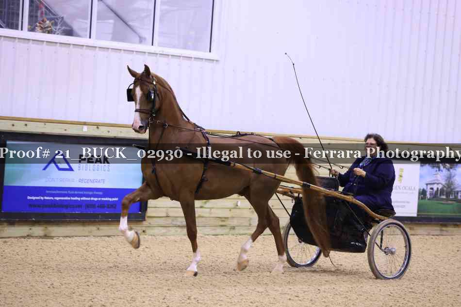 Proof 21_BUCK_02930