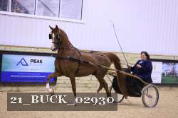 21_BUCK_02930 proof