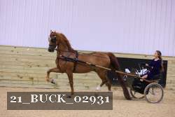 21_BUCK_02931 proof
