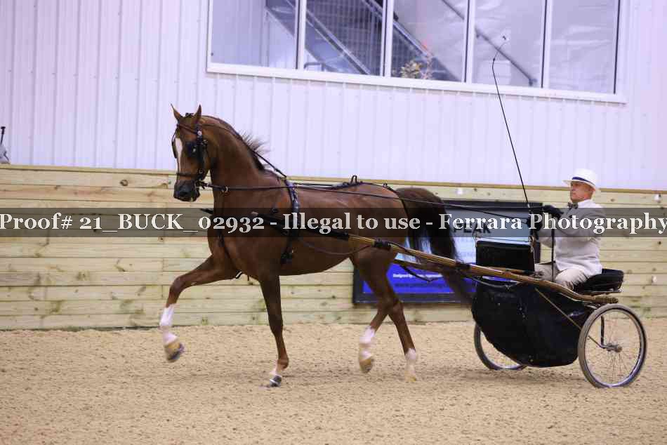 Proof 21_BUCK_02932