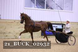 21_BUCK_02932 proof