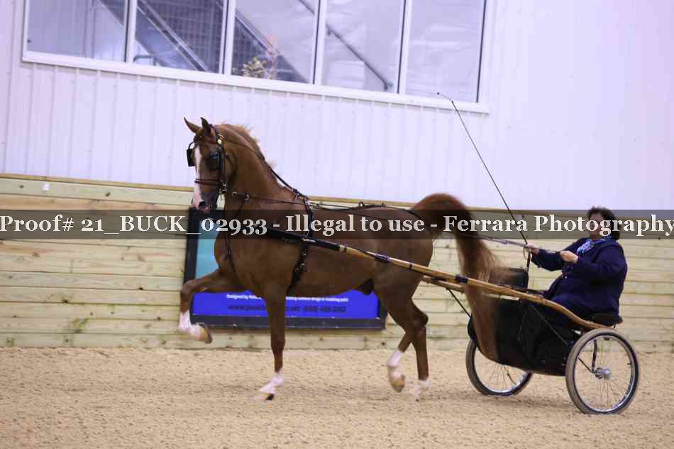 Proof 21_BUCK_02933