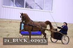 21_BUCK_02933 proof