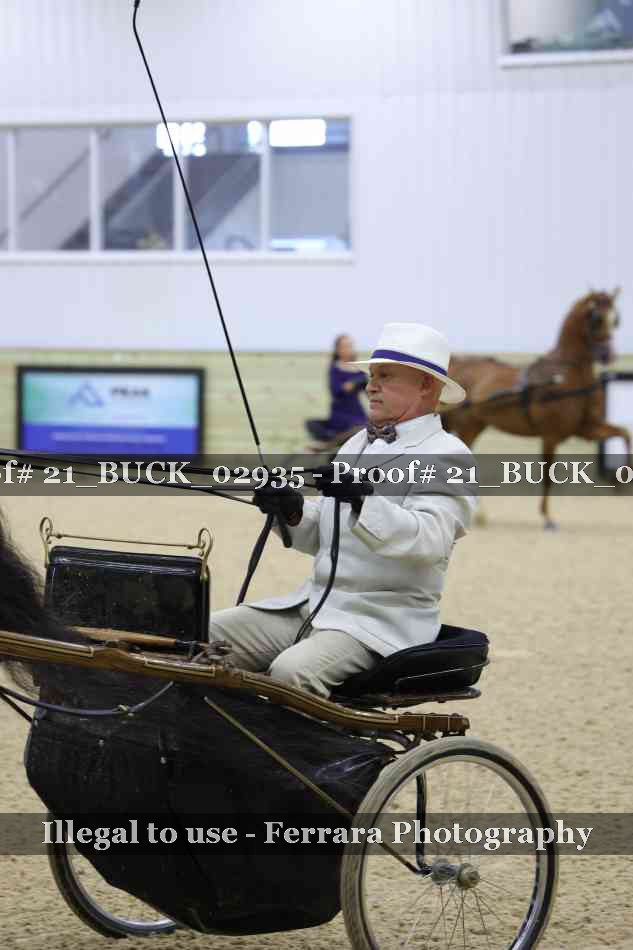 Proof 21_BUCK_02935