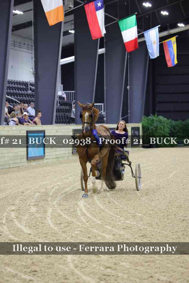 Proof 21_BUCK_02938