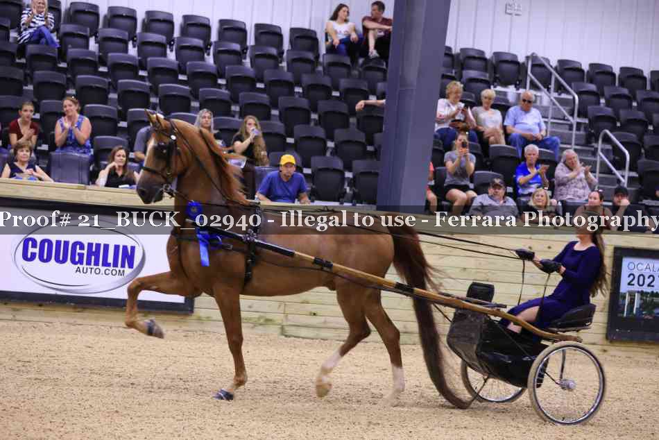 Proof 21_BUCK_02940