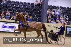 21_BUCK_02940 proof